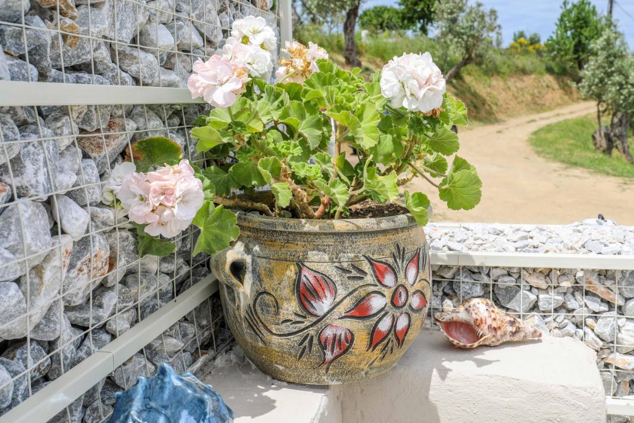 Casa Rozana - Skiathos Екстер'єр фото